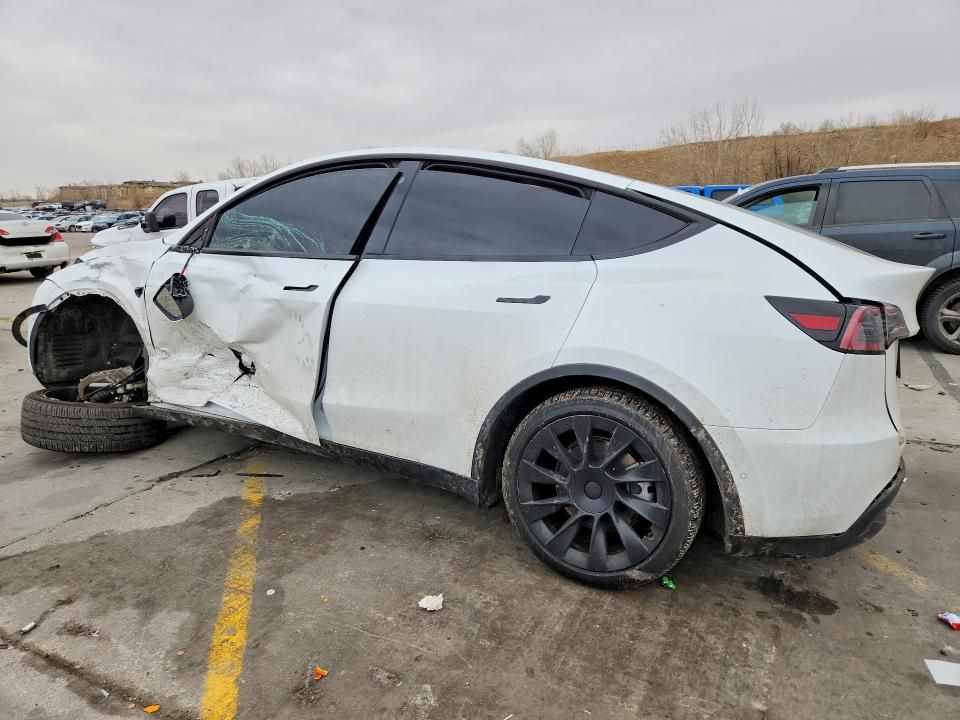 2022 Tesla Model y