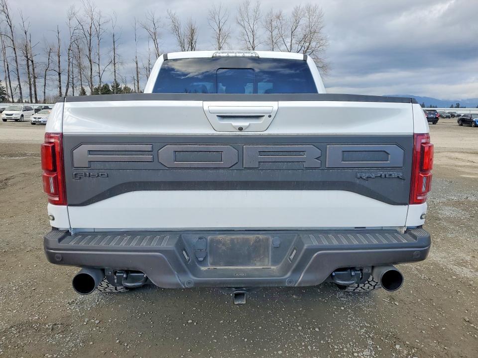 2019 Ford F150 Raptor