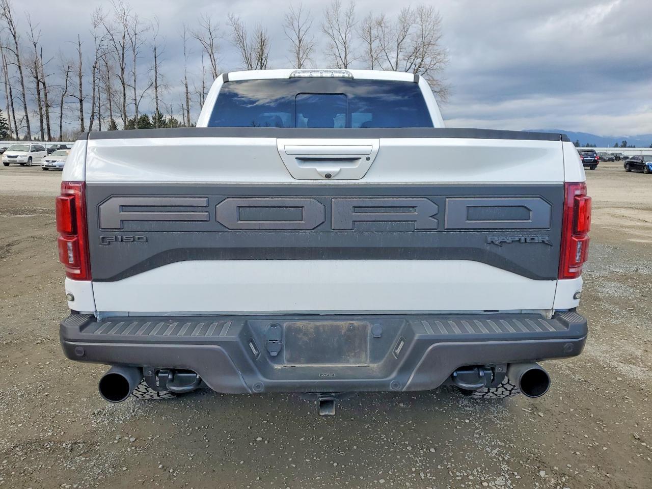 2019 Ford F150 Raptor