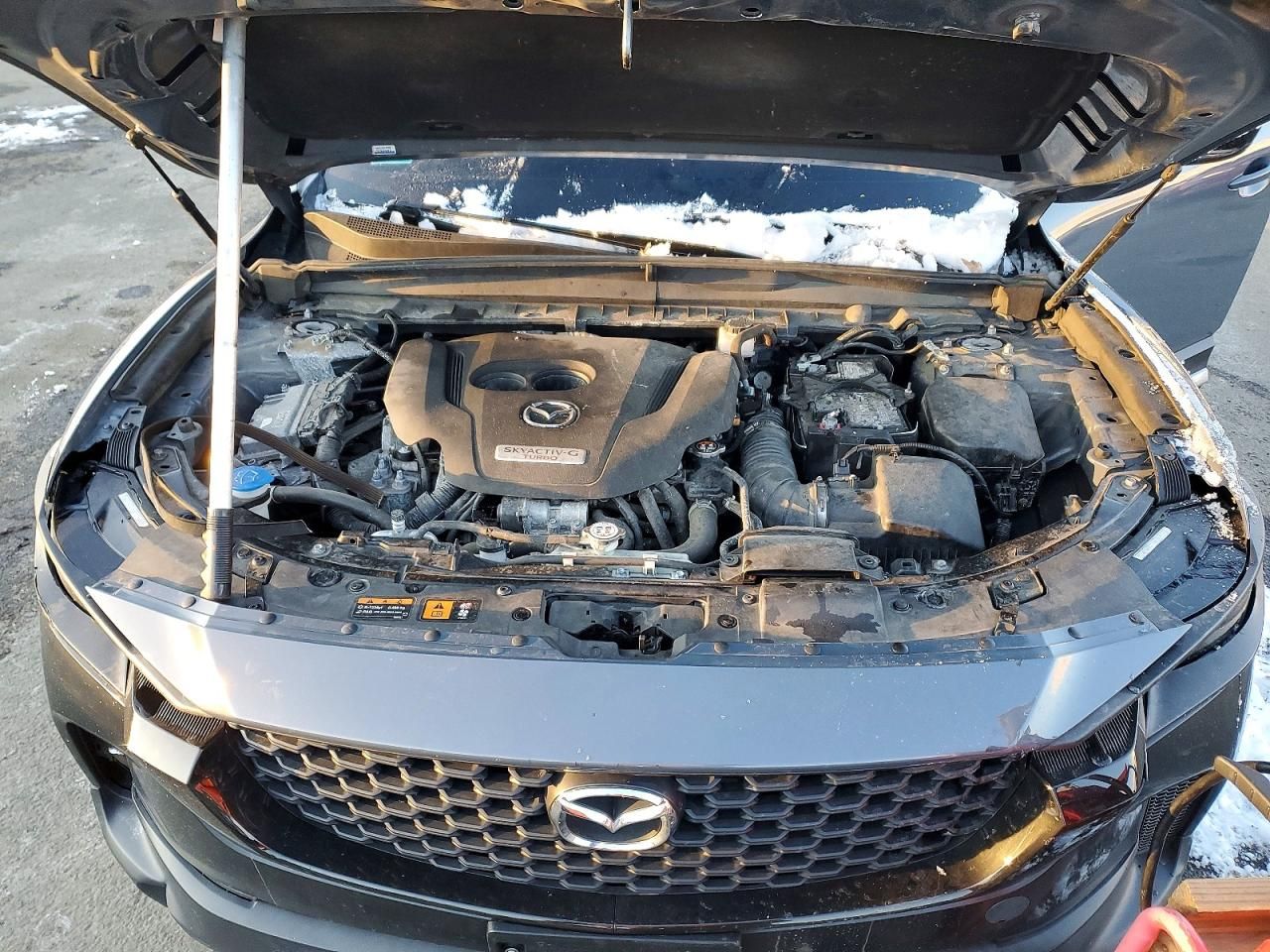 2023 Mazda Cx-50 Base