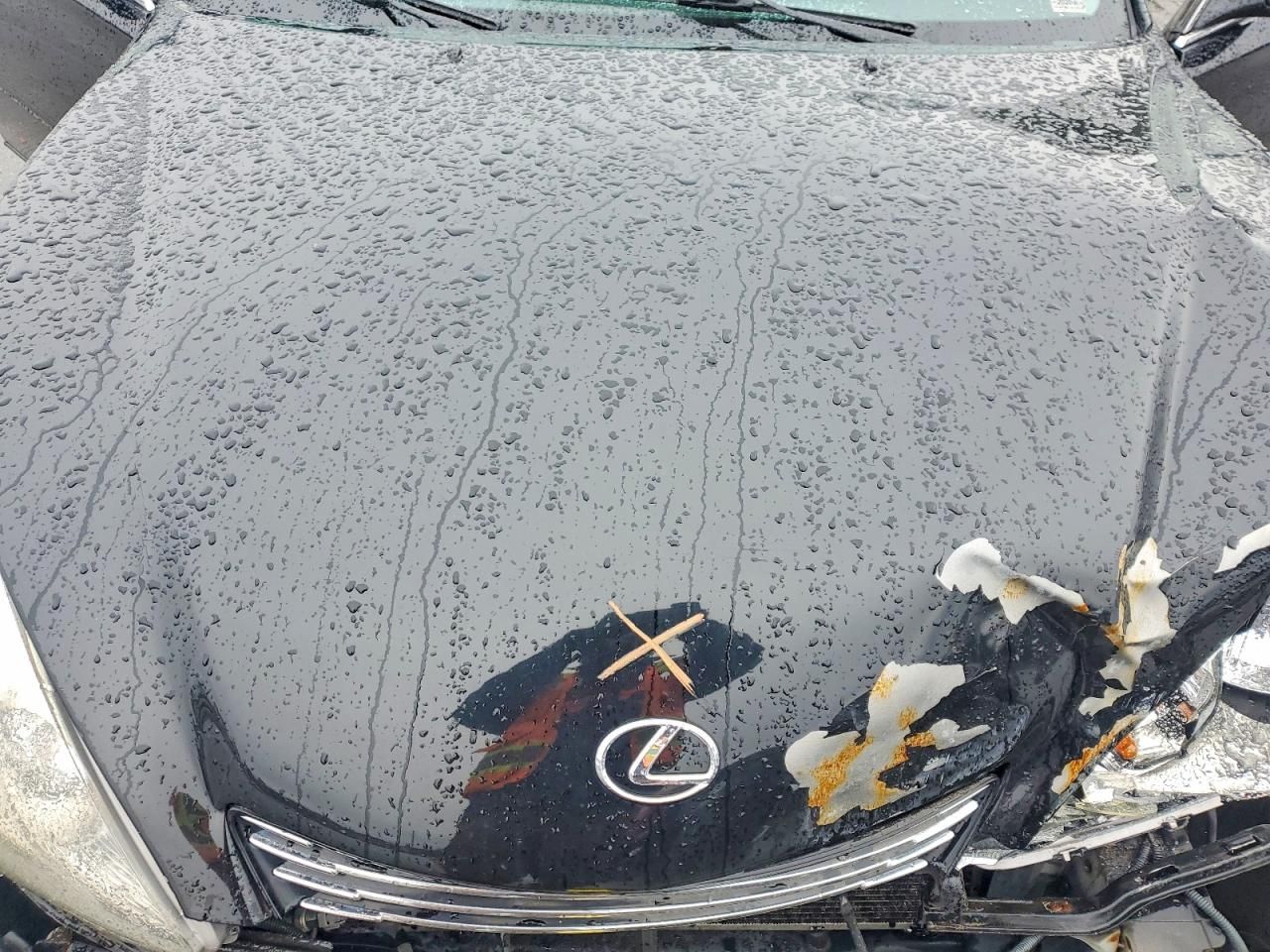 2004 Lexus Es 330 Base