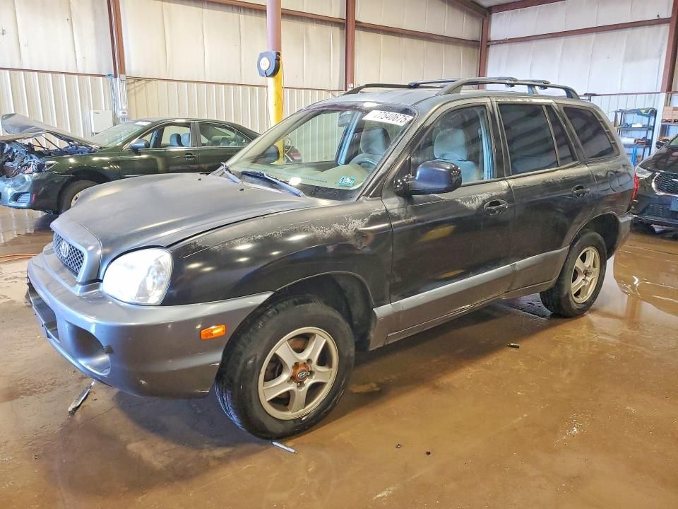 2004 Hyundai Santa fe gls