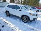 2011 KIA Sorento ex