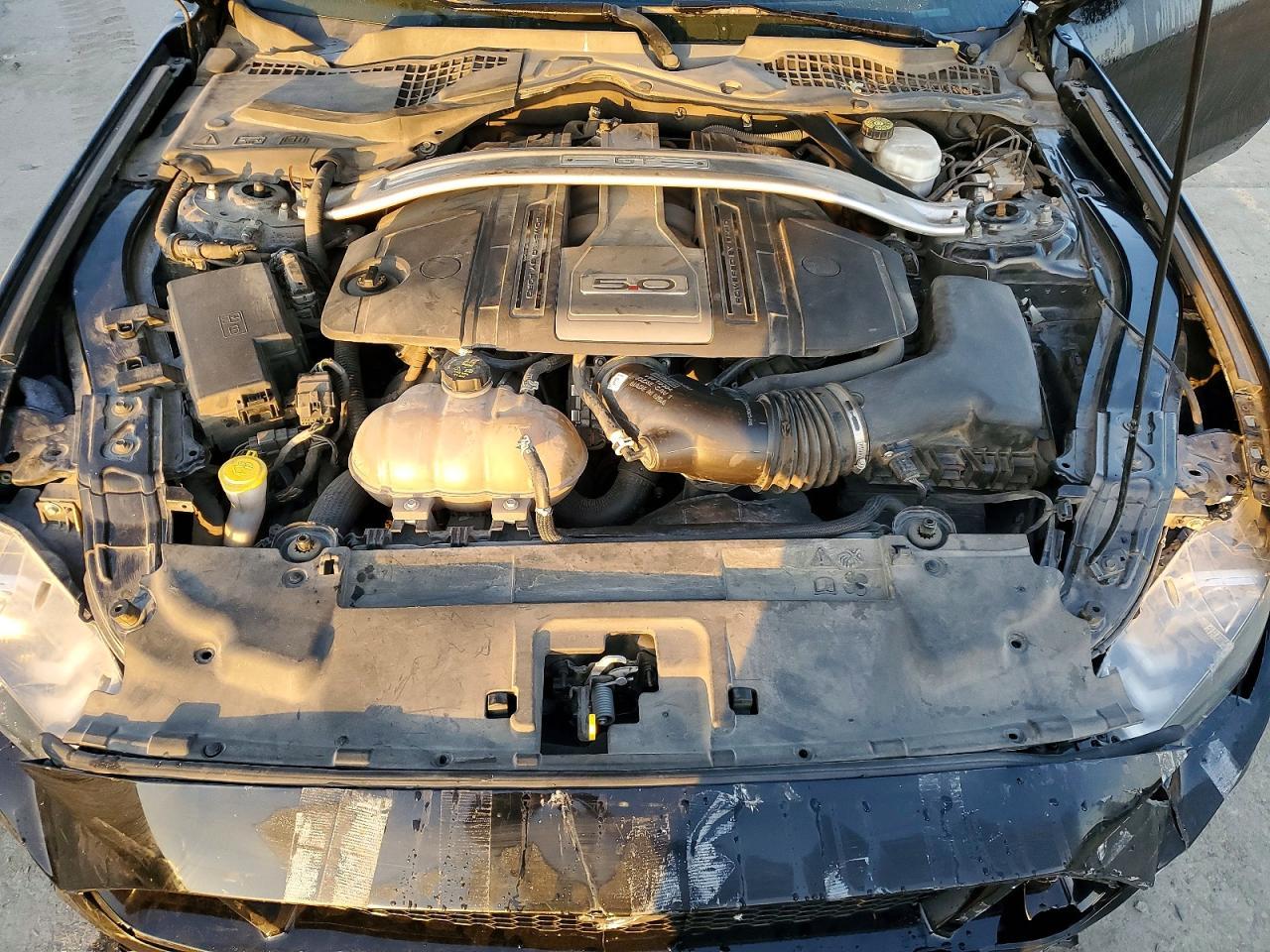 2019 Ford Mustang gt