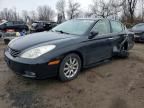 2004 Lexus Es 330 Base