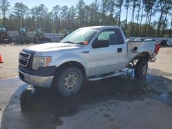 2010 Ford F150 en venta en Harleyville, SC