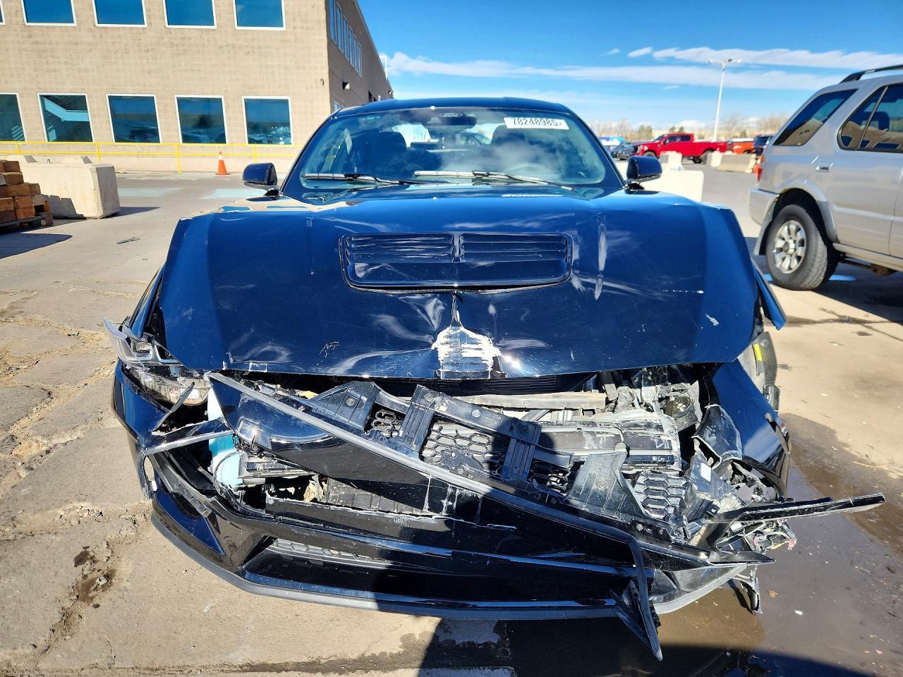 2024 Ford Mustang gt