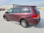 2010 Honda Odyssey exl