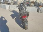 2025 Triumph Tiger 1200 Rally PRO