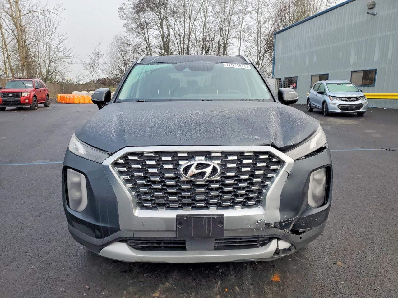2020 Hyundai Palisade sel