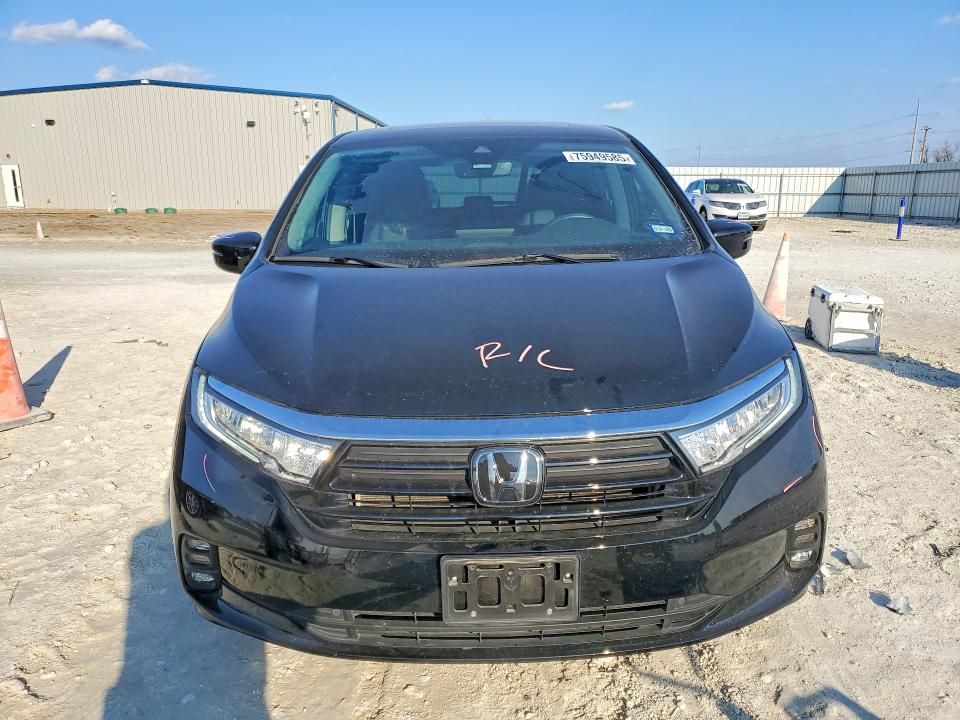 2024 Honda Odyssey exl