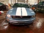 2005 Ford Mustang