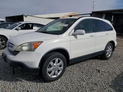 2007 Honda Cr-v exl for sale in Brighton, CO