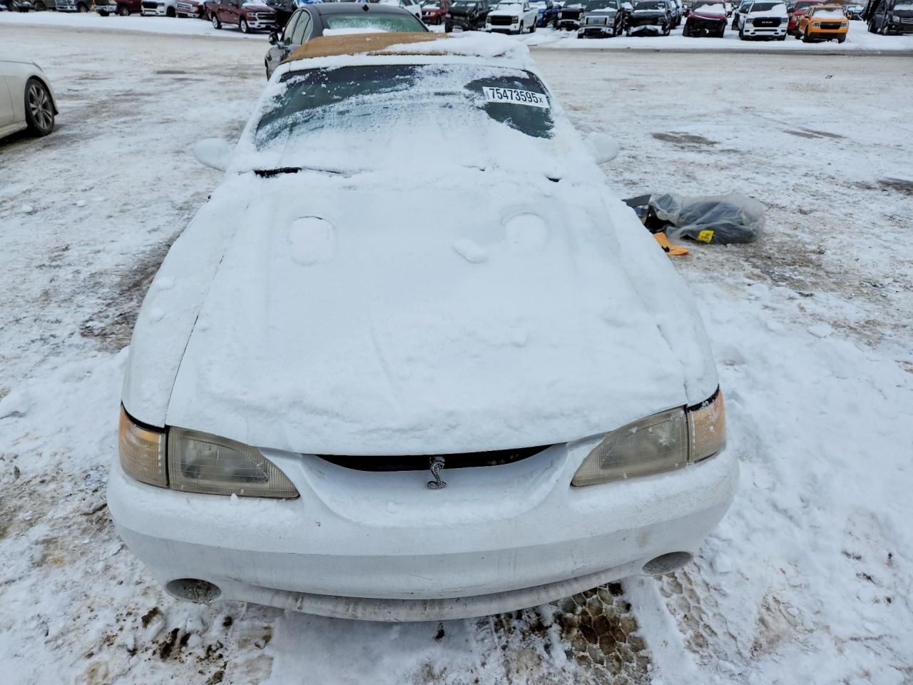 1996 Ford Mustang Cobra