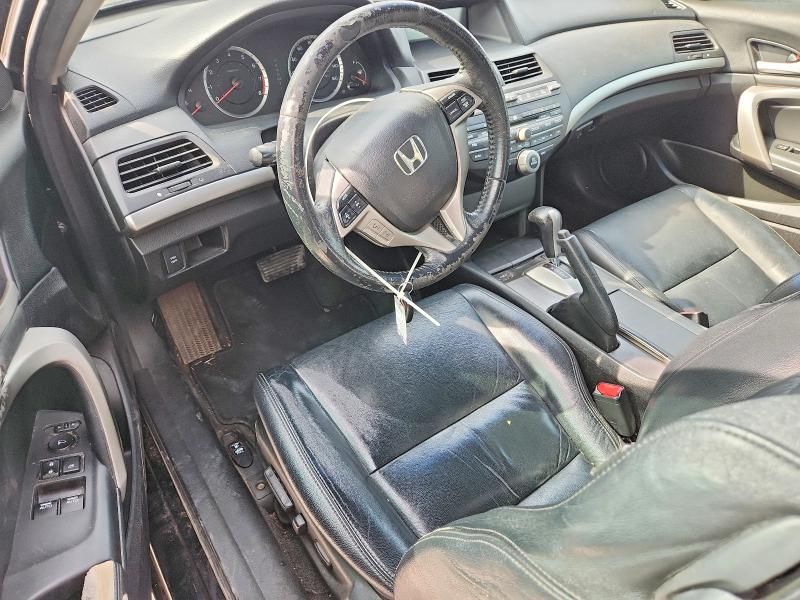 2010 Honda Accord exl