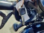 2023 Harley-Davidson RH975 S
