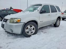Ford Escape salvage cars for sale: 2006 Ford Escape hev