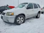2006 Ford Escape hev