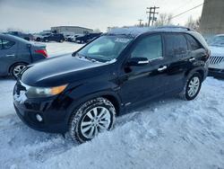 KIA salvage cars for sale: 2011 KIA Sorento