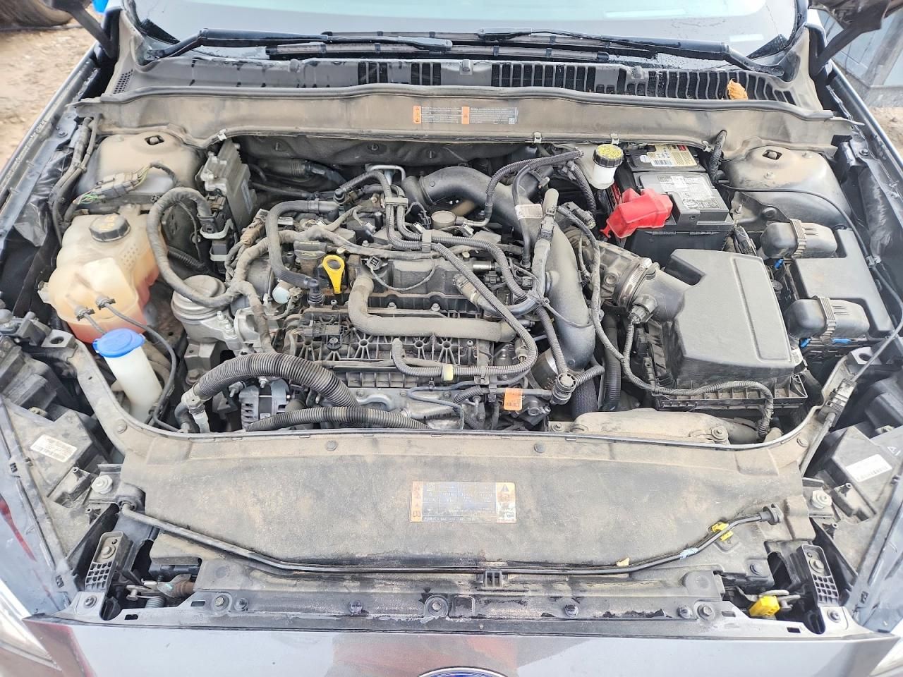 2019 Ford Fusion sel