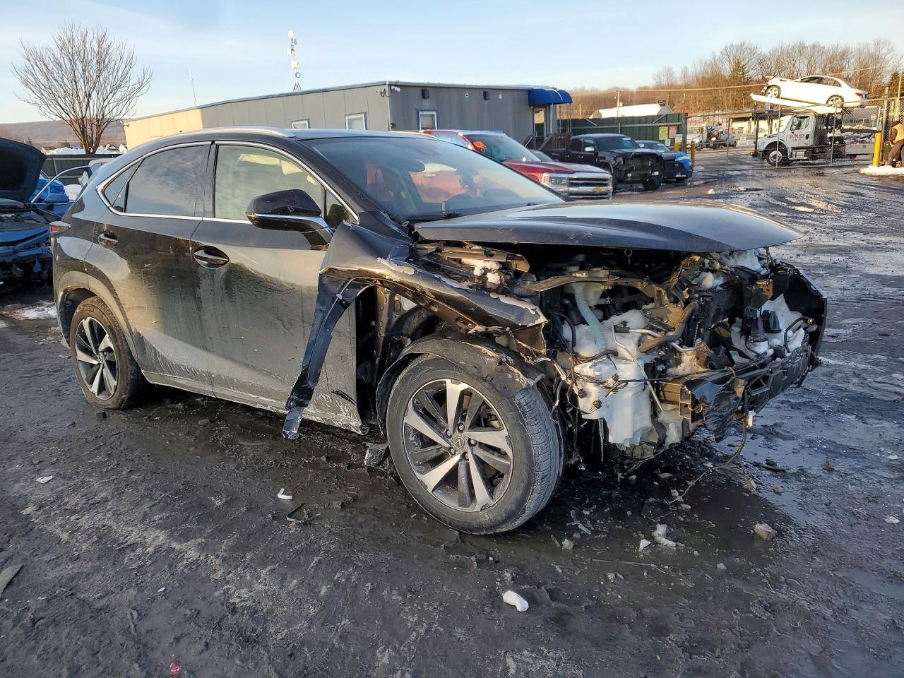 2021 Lexus NX