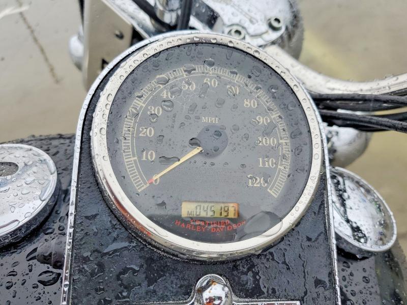 2005 Harley-Davidson Flstci
