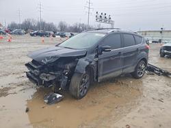 Ford Escape salvage cars for sale: 2016 Ford Escape Titanium