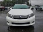 2010 Lexus Hs 250h Base