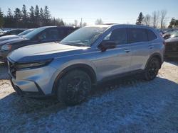 Honda salvage cars for sale: 2025 Honda Cr-v exl