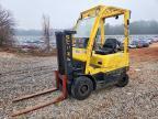 2019 Hyster Forklift