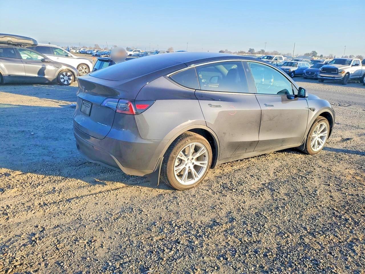 2024 Tesla Model y