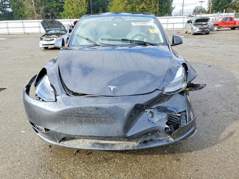 2025 Tesla Model y