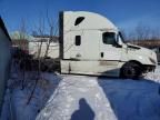 2019 Freightliner Cascadia 126 Semi Truck