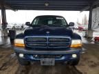 2002 Dodge Dakota Quad Sport