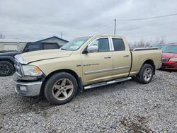 Dodge salvage cars for sale: 2011 Dodge Ram 1500