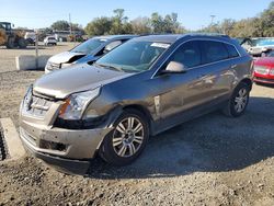 Cadillac srx salvage cars for sale: 2011 Cadillac Srx Luxury Collection