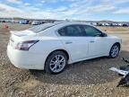 2012 Nissan Maxima