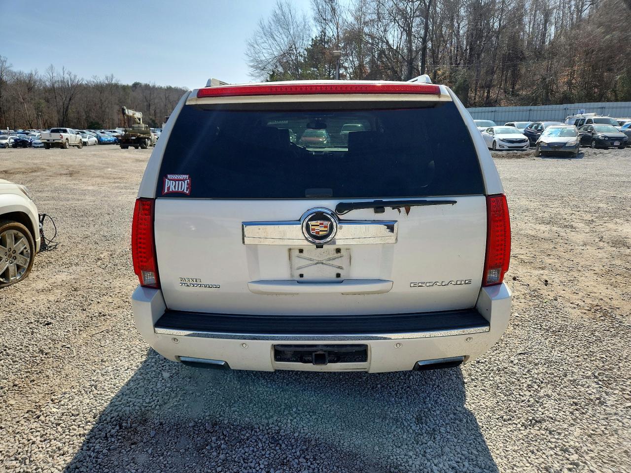 2014 Cadillac Escalade esv Platinum