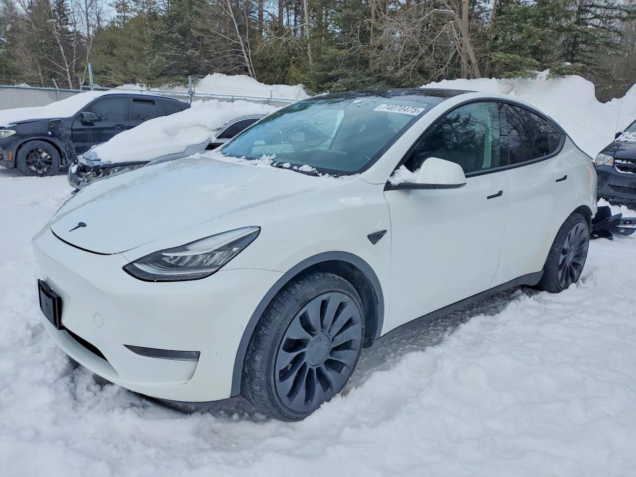 2022 Tesla Model y