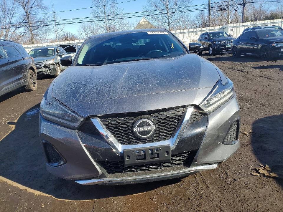 2023 Niss Maxima 3.5 sv