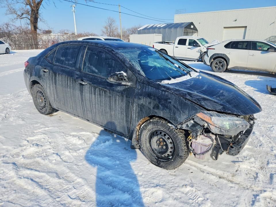 2019 Toyota Corolla l