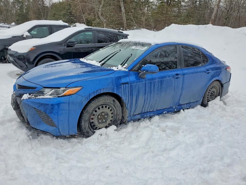 2020 Toyota Camry xle