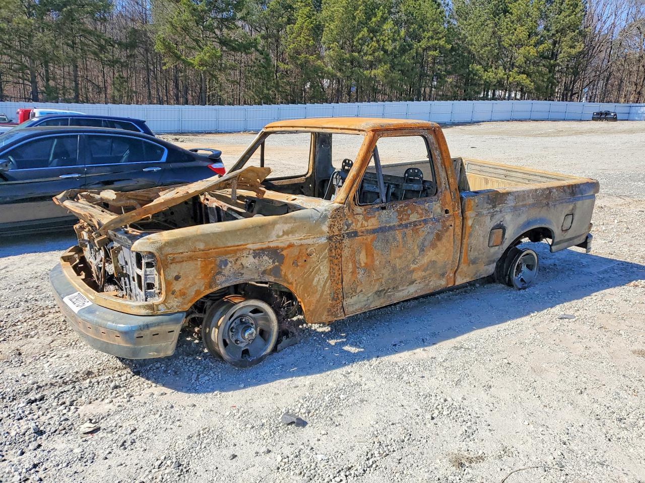 1995 Ford F150