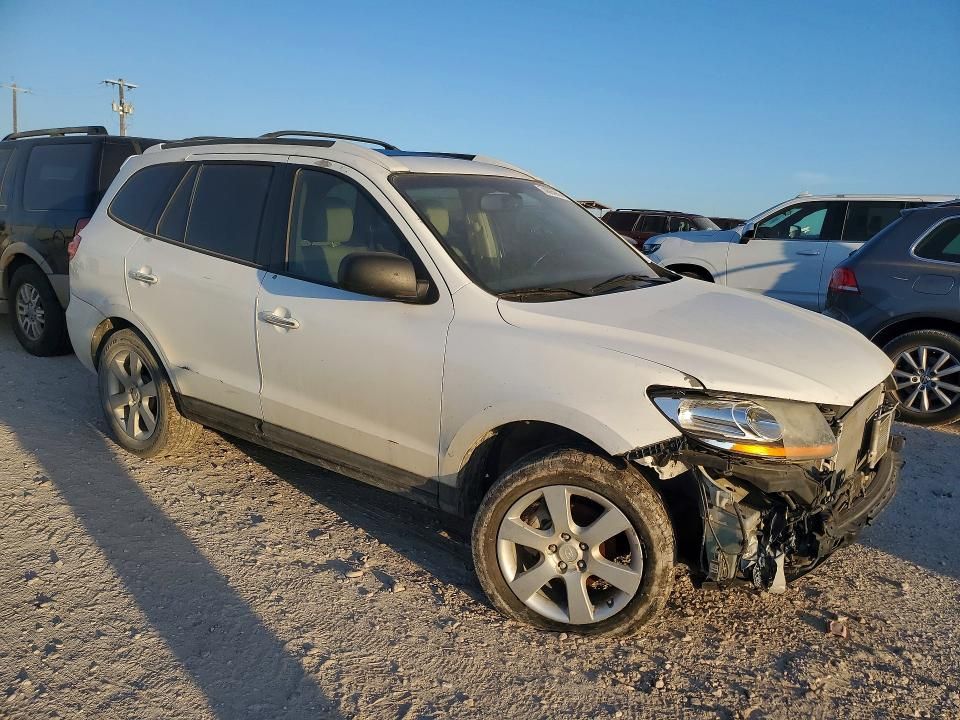 2009 Hyundai Santa fe