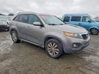 2011 KIA Sorento ex