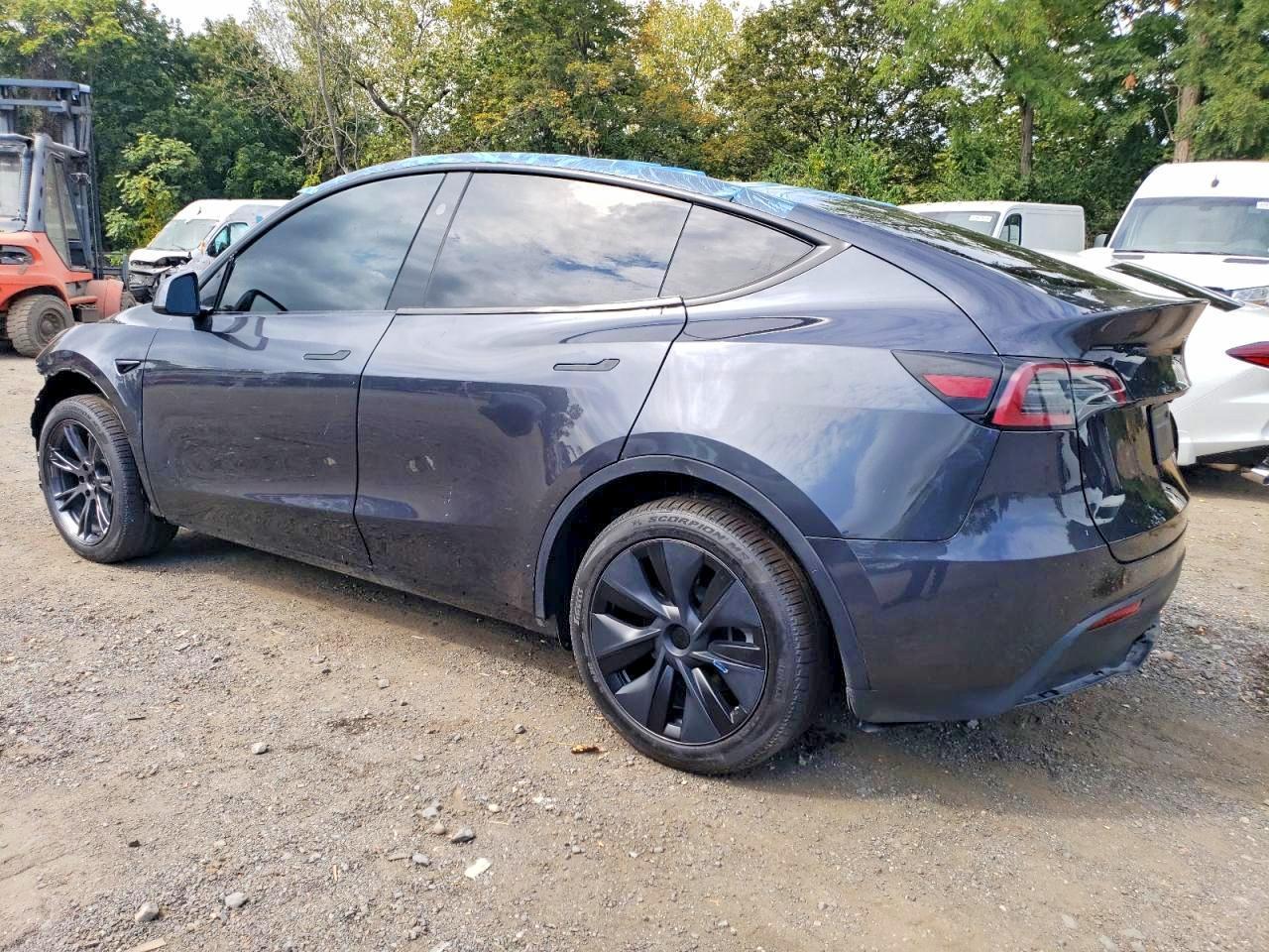2025 Tesla Model y