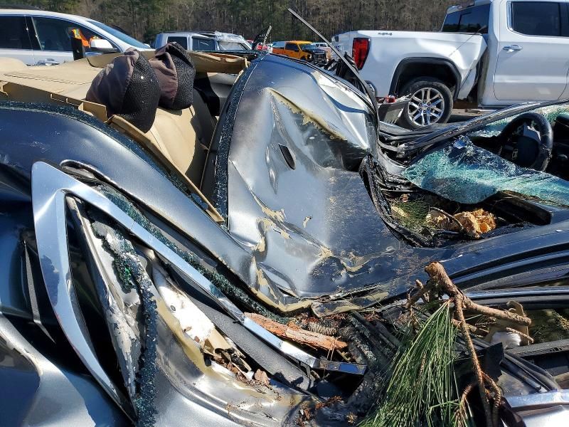 2009 Honda Accord exl