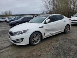 KIA Optima sx salvage cars for sale: 2013 KIA Optima sx
