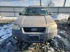 2007 Ford Escape xlt