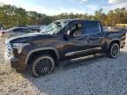 2023 Toyota Tundra 1794 Edition HV